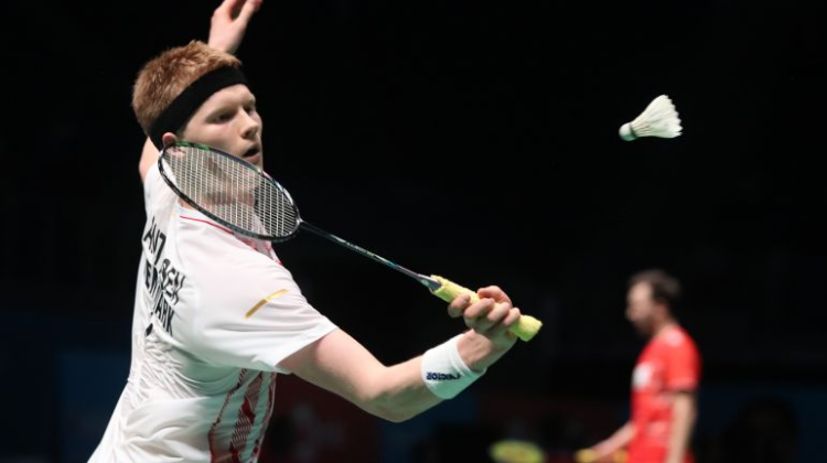 一直是众多 一直是众多